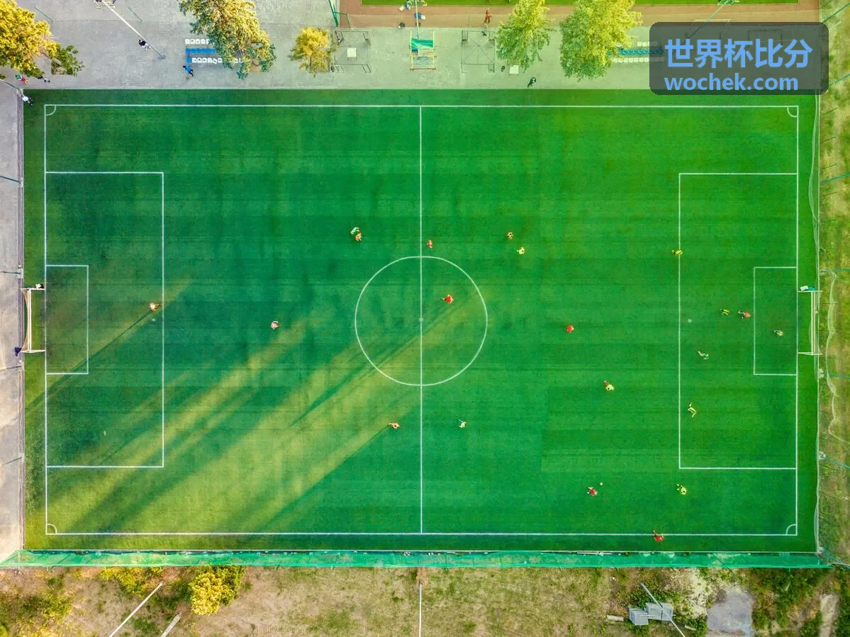 世界杯比分赛前预测热门对决